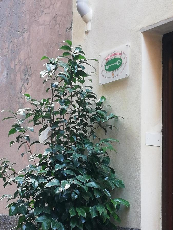 B&B Sotto Le Torri Albenga Ngoại thất bức ảnh